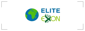 Exon Medical Exon Medical